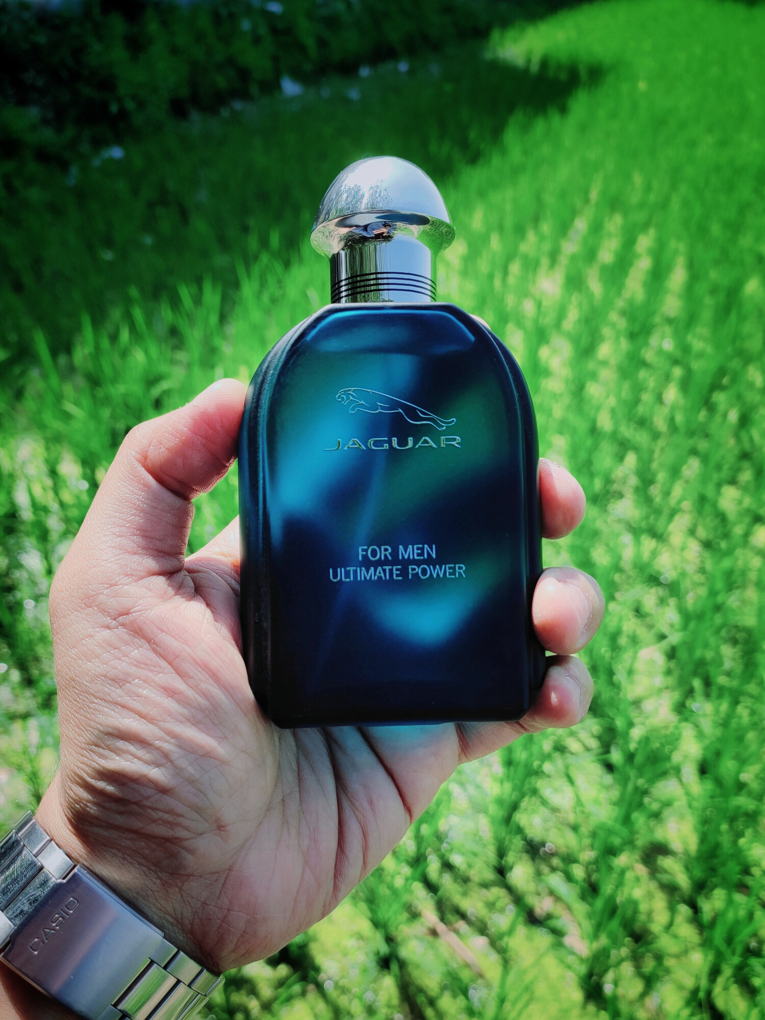 جگوار فور من آلتیمیت پاور — تصویر 2
