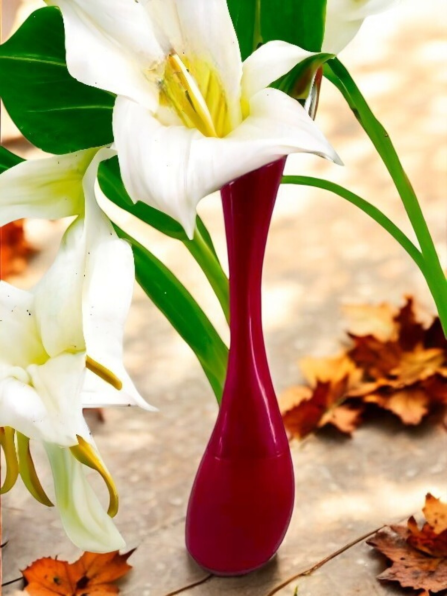 کنزو آمور