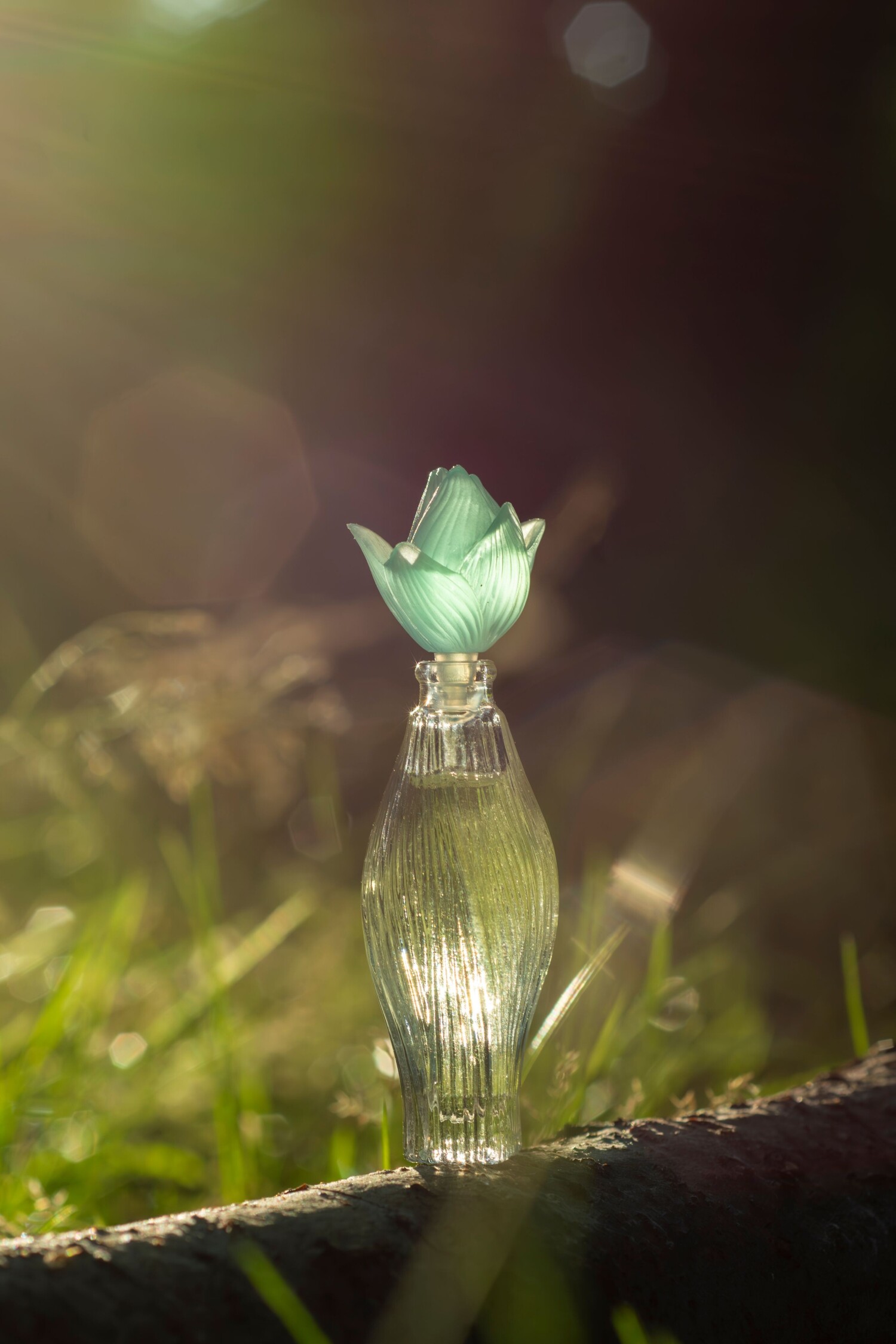 کلر د نیلانگ — تصویر 3