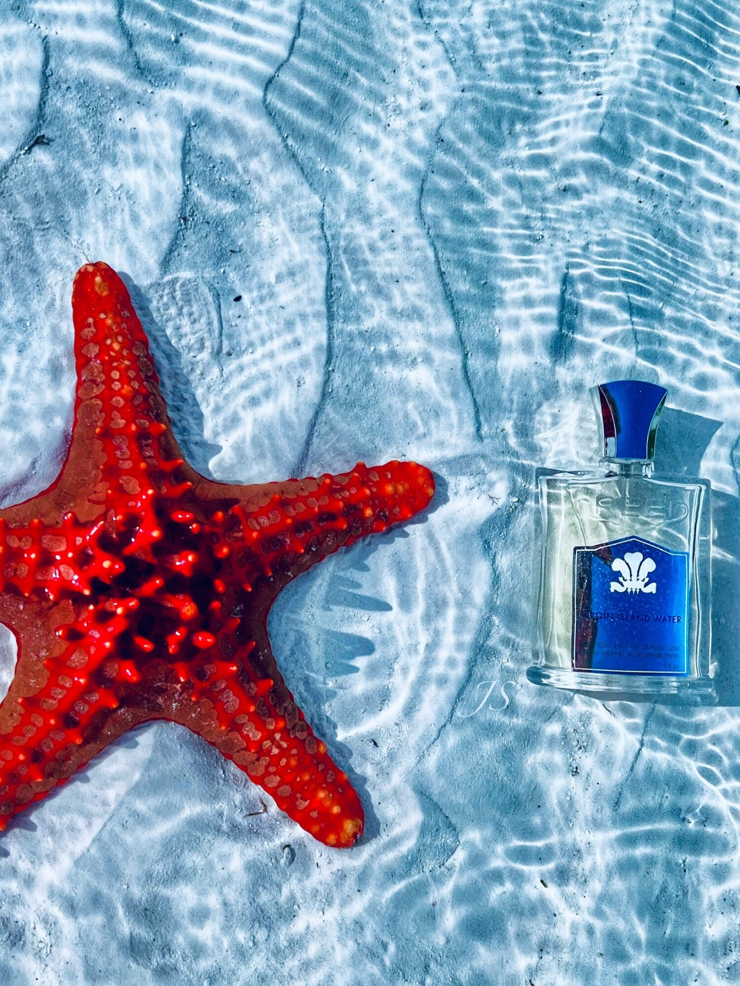 ویرجین آیلند واتر ۲۰۰۷ — تصویر 2