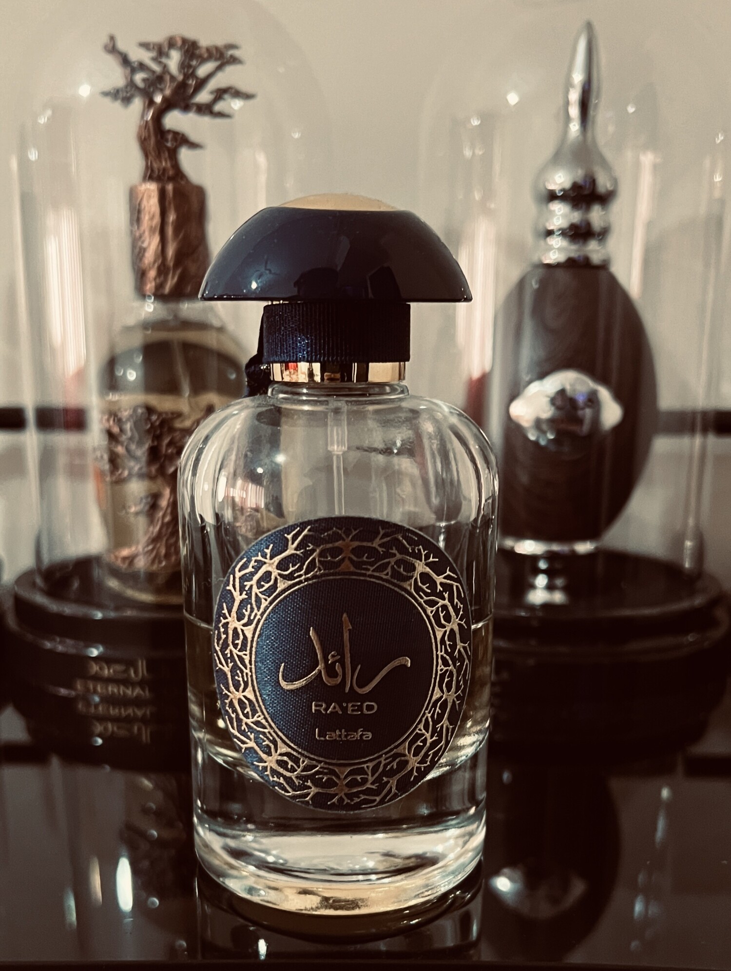 رائد لوکس