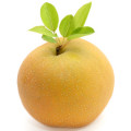 گلابی آسیایی