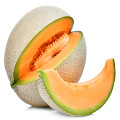 طالبی