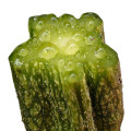 شیره گیاهی