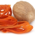 بسباسه (جوز تبرز)
