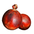 مانینکا