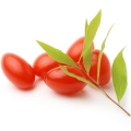 گوجی بری