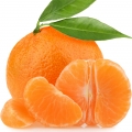 کلمنتین