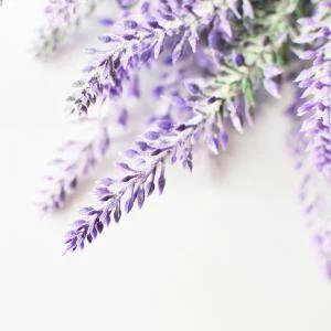 Creations Aromatiques