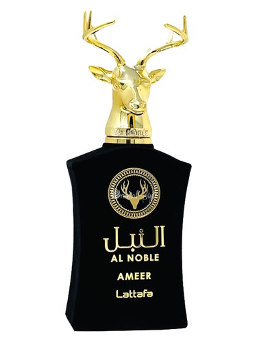 امیر